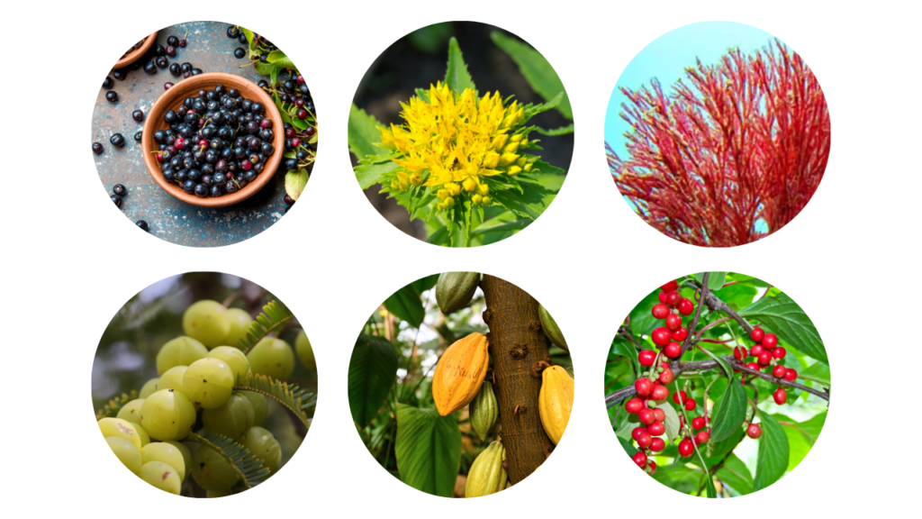 Mitolyn Ingredients