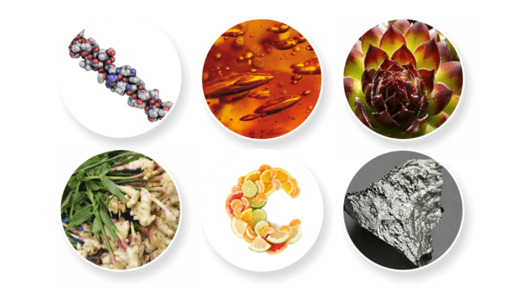 ProFlexen Ingredients