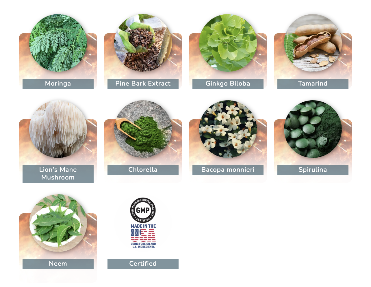 Mindquell Ingredientes